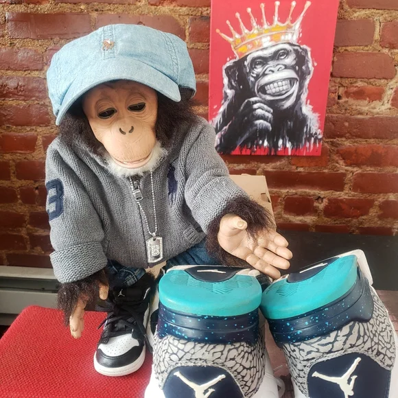 Jordan "Son of Mars" Hornets - Picture 9 of 14